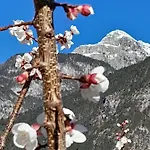 Πανσιόν Mountain Chiusaforte