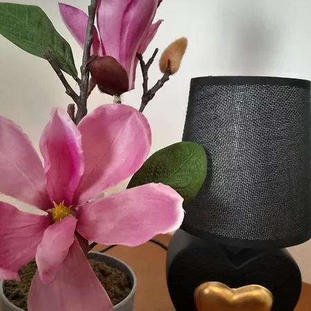 Mountain Guest house