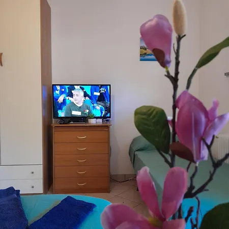 Mountain Guest house Chiusaforte