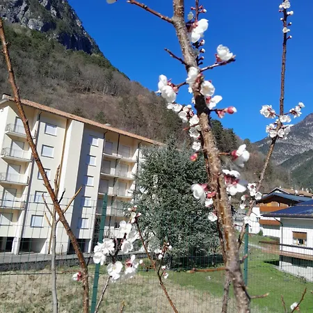 Mountain Guest house