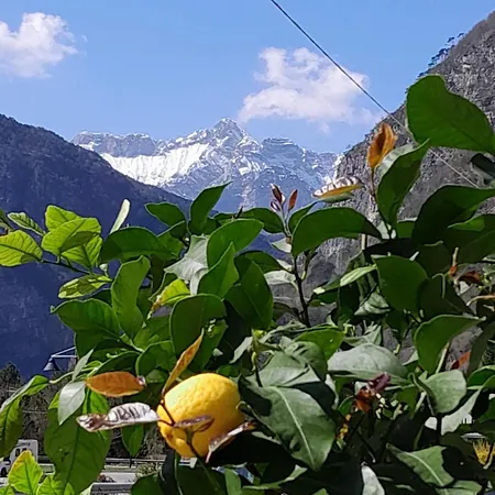 Πανσιόν Mountain