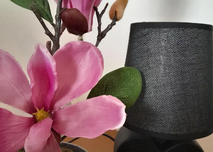 Mountain Guest house