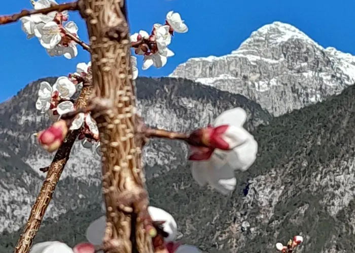 Guest house Mountain Chiusaforte