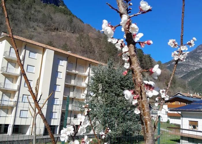 Mountain Guest house