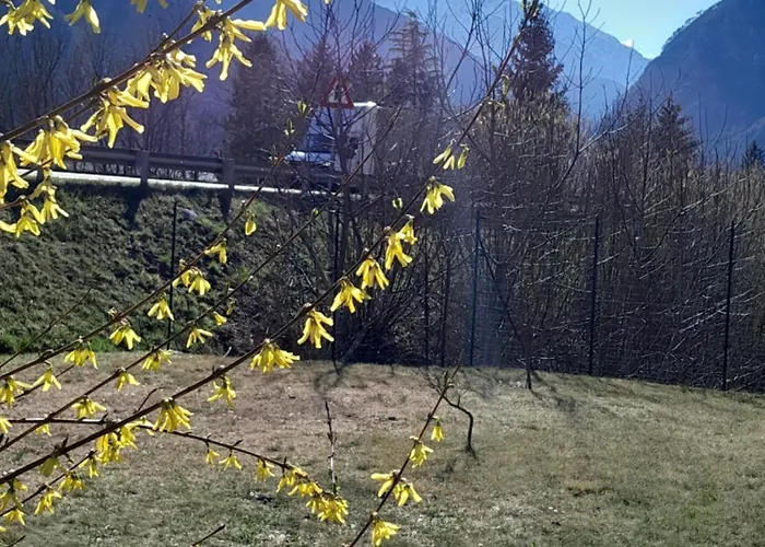 Mountain Chiusaforte